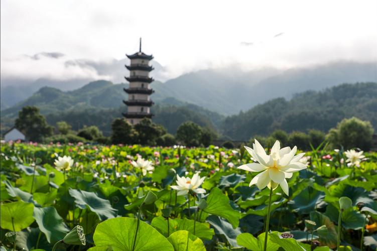 浙江武义旅游景点-浙江武义旅游景点都有哪些地方