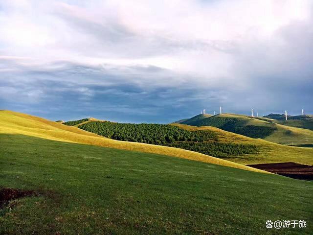 坝上草原在哪里哪个城市-坝上草原是在哪个城市