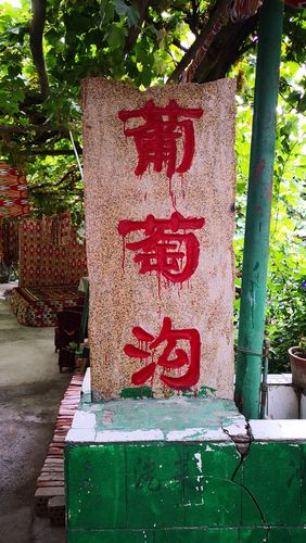 吐鲁番葡萄沟风景区_吐鲁番葡萄沟风景区位于吐鲁番市的什么中