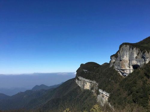 南川金佛山景点讲解_南川金佛山游玩攻略