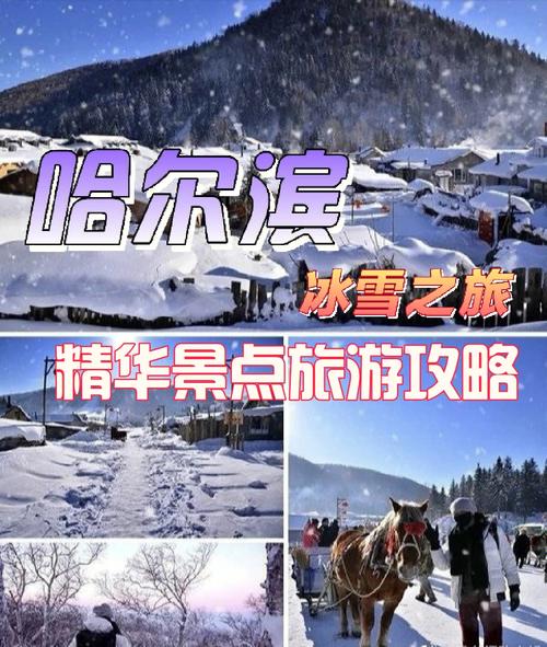 哈尔滨雪乡旅游攻略自由行_哈尔滨雪乡攻略自助游