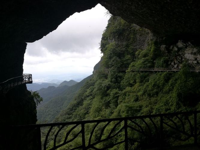 金佛山夏季旅游攻略_金佛山自由行攻略